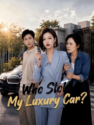 Who Stole My Luxury Car?